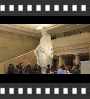 ../pictures/US Capitol/DSCF6013_1_small_icon.jpg